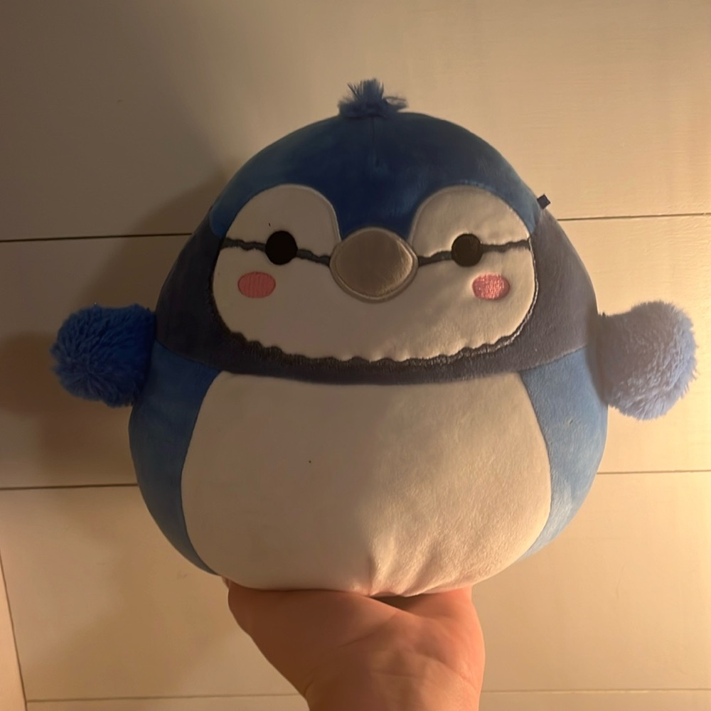 Babs, the Bluejay